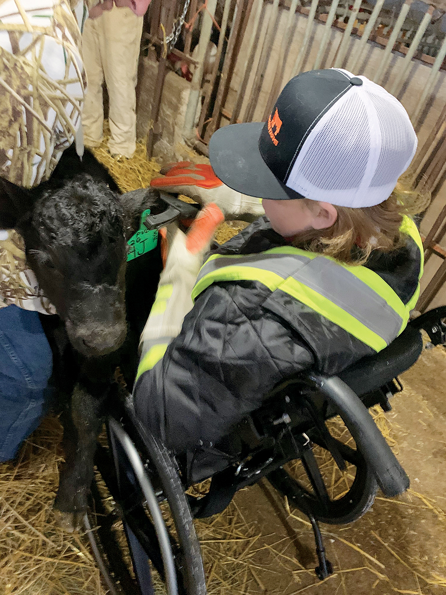 Levi tagging calves