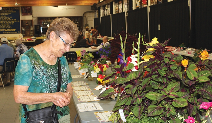 Looking over some of the horticulture displays at last year’s Moosomin Horticulture Show.