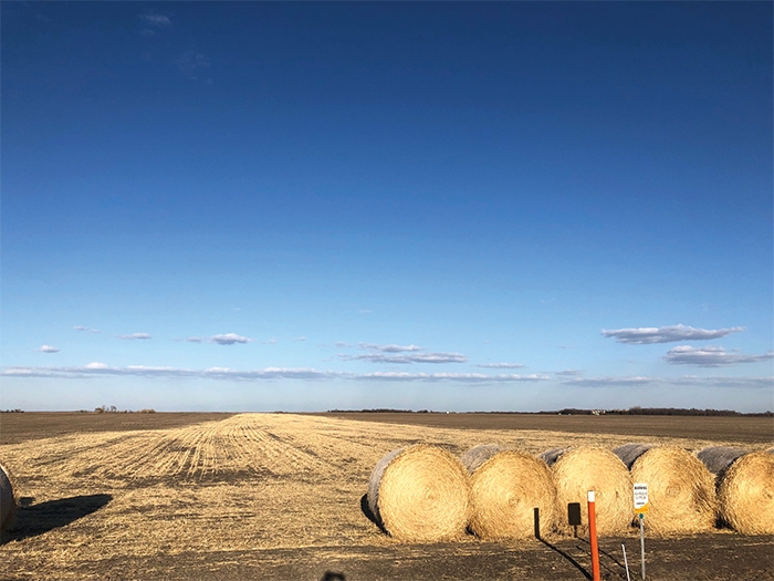 This photo and the photo below left show some of Enbridge’s reclamation efforts in the local area.