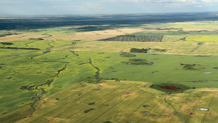 Kevin Weedmark took this photo of crops in Southeast Saskatchewan last spring. Farmers will soon be on the land again planting the 2020 crop.