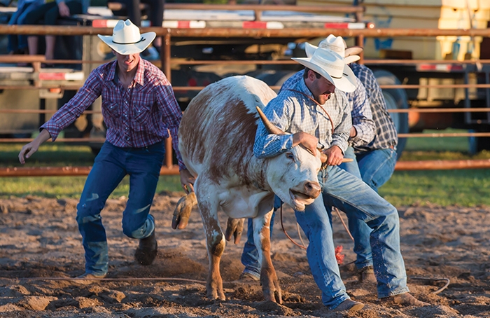 A scene from last year's McAuley Hoedown