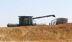 Harvest of Hope raises $26,000 to help feed the hungry