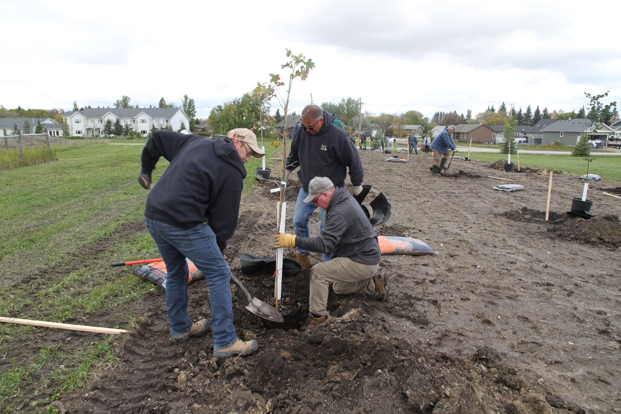 A small army of volunteers showed up to help Mullett’s Home Hardware plant trees along the west side of the Southeast Integrated Care Centre on Friday, September 27, 2019. Home Hardware along with Tree Canada has a tree planting program, and plants trees around Canada every year.