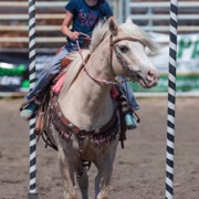 New at the Moosomin Rodeo this year was a kids rodeo held on Saturday July 7th in the afternoon.