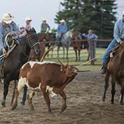 McAuley Hoedown Ranch Rodeo - August 11 & 12, 2017