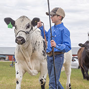 The 127th Fairmede Ag Society Fair was held on Saturday, June 8, and included the Fairmede 4H Beef Club’s 85th Achievement Day, as well as a horse show, and domestic exhibits. On Sunday, June 9, there was also a church service at the Fairmede Church, and an old fashioned picnic.