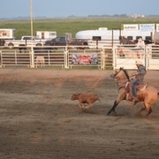 The Whitewood/Chacachas Rodeo ran from Aug. 10-12.