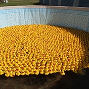 There was a great crowd on hand for the 2019 Tantallon Duck Derby on September 7, 2019