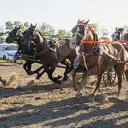 Spy Hill Sports Days was held August 10-11, 2019.