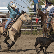 Twin Valley Riding Club Rodeo & Bullarama: August 31 - September 1, 2019