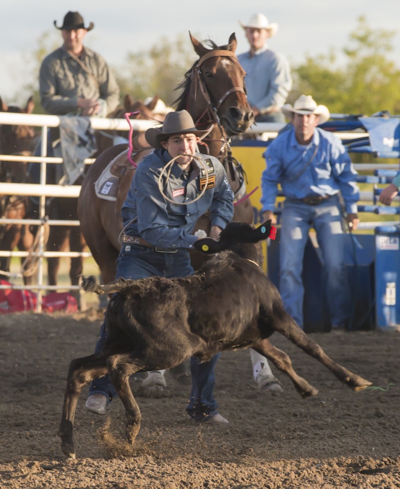 The Whitewood/Chacashas 20th annual rodeo was held August 9-10, 2019
