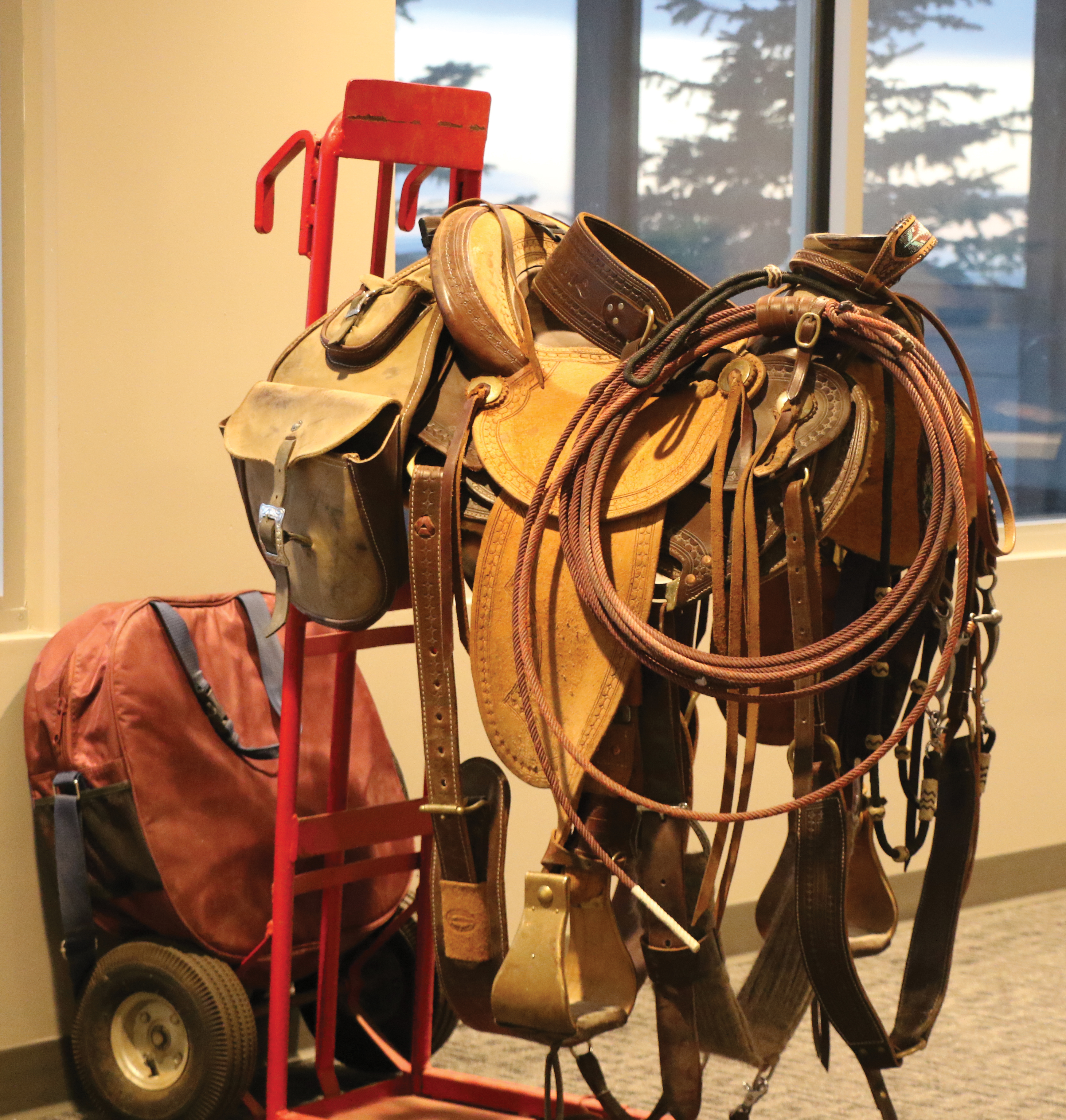 Levi�s saddle <br />
