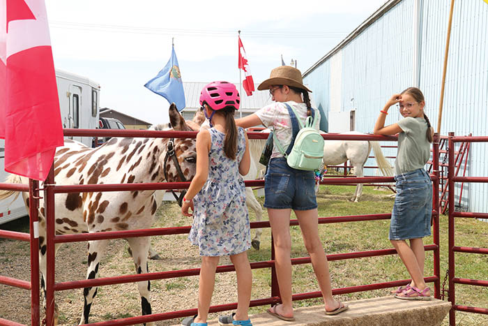 Girls petting one of Doug Sauter’s appaloosa horses