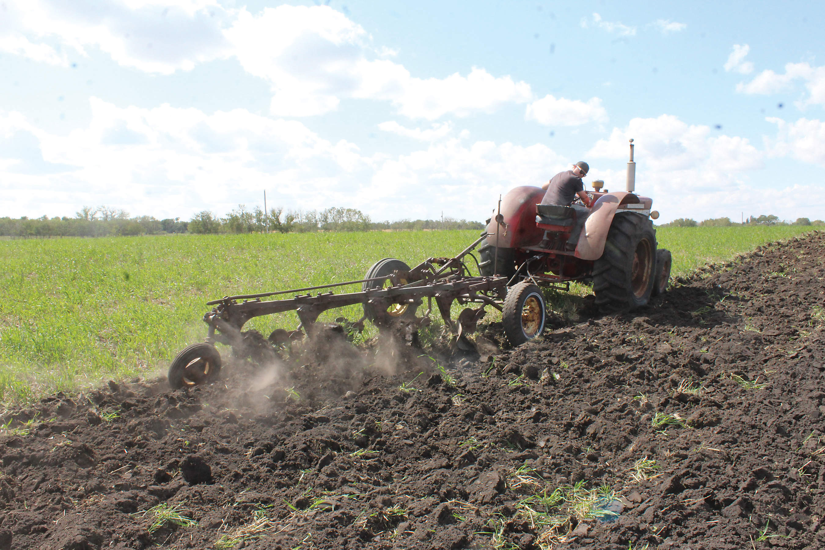 A cultivating demonstration at the Wilson old-time harvest.