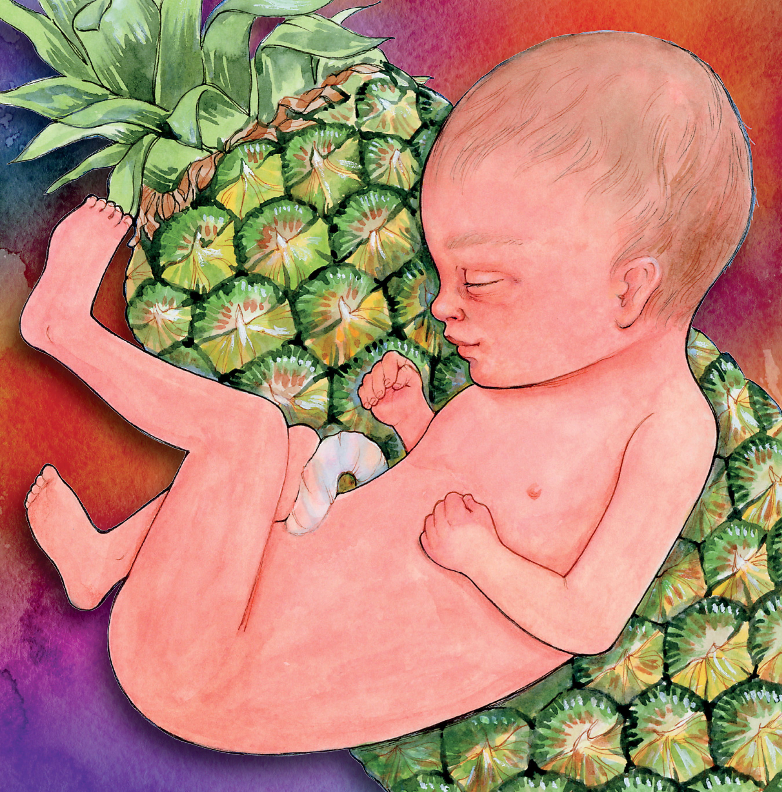 Artwork showing the babys size in comparison to a pineapple.