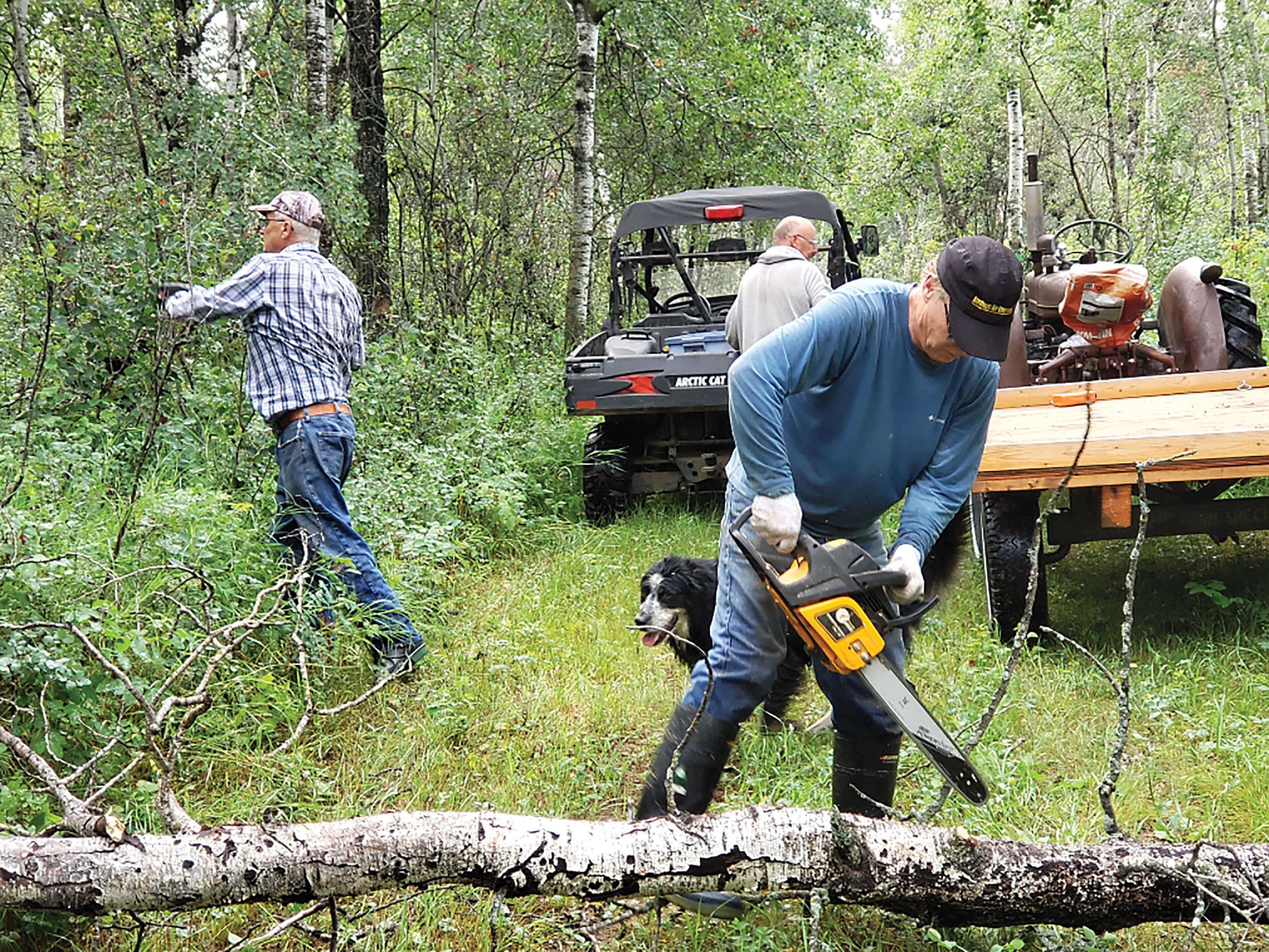 Volunteers from Rocanville’s Cross Country Ski Club use the logs from end fall, for the wood stove at the Club House shack.