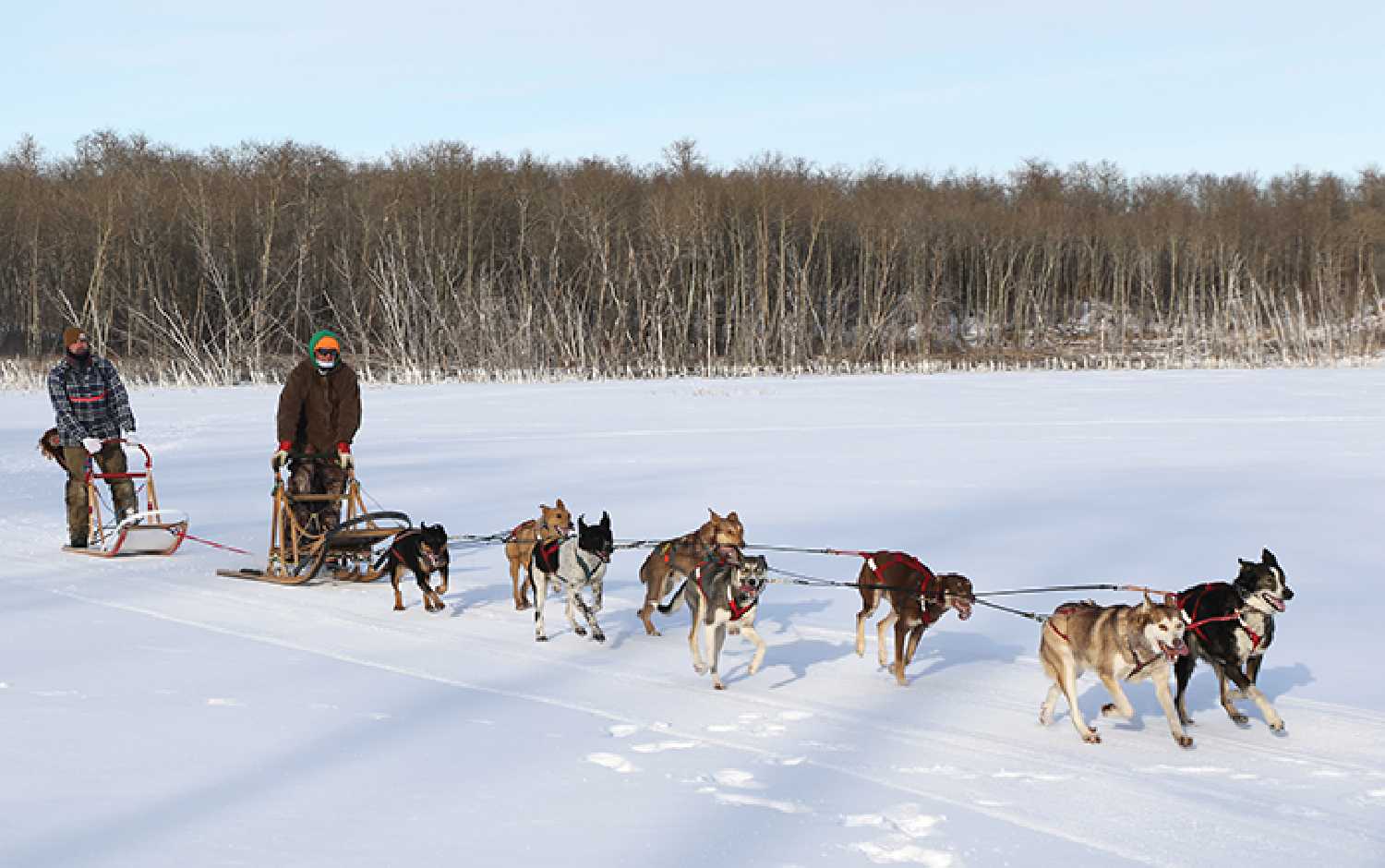 Owner of Eagle Ridge Dog Sled Tours, Garrick Schmidt and president of Mtis Nation of SaskatchewanEastern Region 3 Dexter Mondor, go dogsledding on Kenosee Lake during their winter camp weekend.