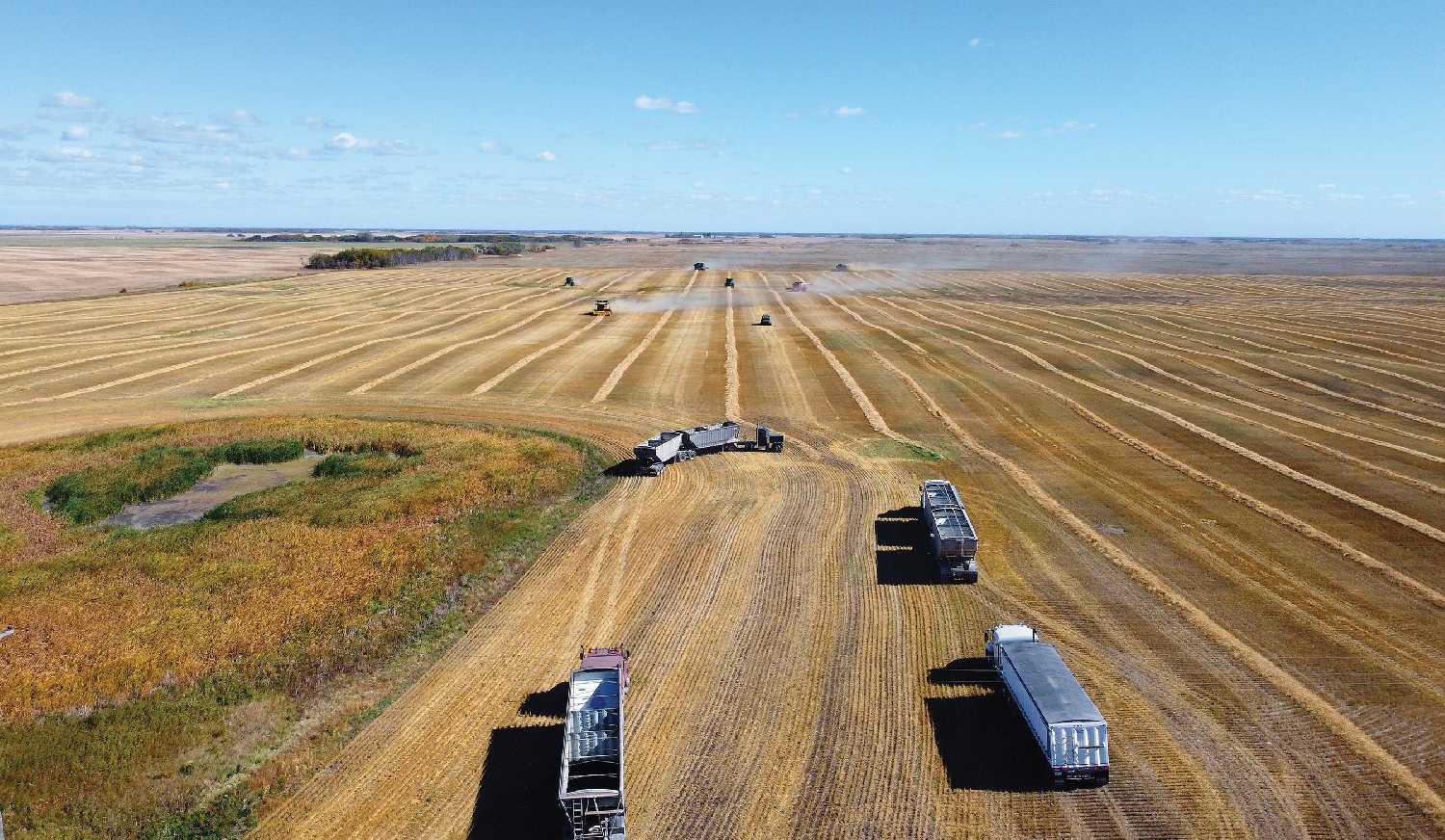 Farmers volunteer to harvest a crop for the Canadian Foodgrains Bank at the Harvest for Hope near Moosomin in the fall of 2021. Saskatchewan exported a record value of agriculture products in 2021, as higher prices more than made up for lower production due to drought conditions.