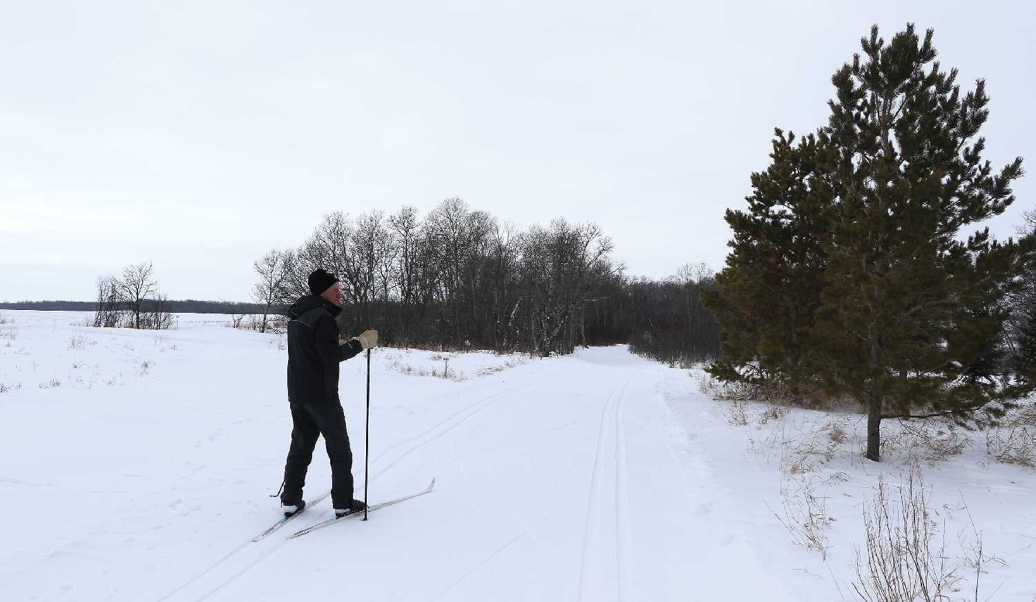 Rocanville Cross-Country Ski Club executive member Dennis Hack, goes skiing almost everyday throughout the different ski trails at Rocanvilles Cross-Country Ski Trails.