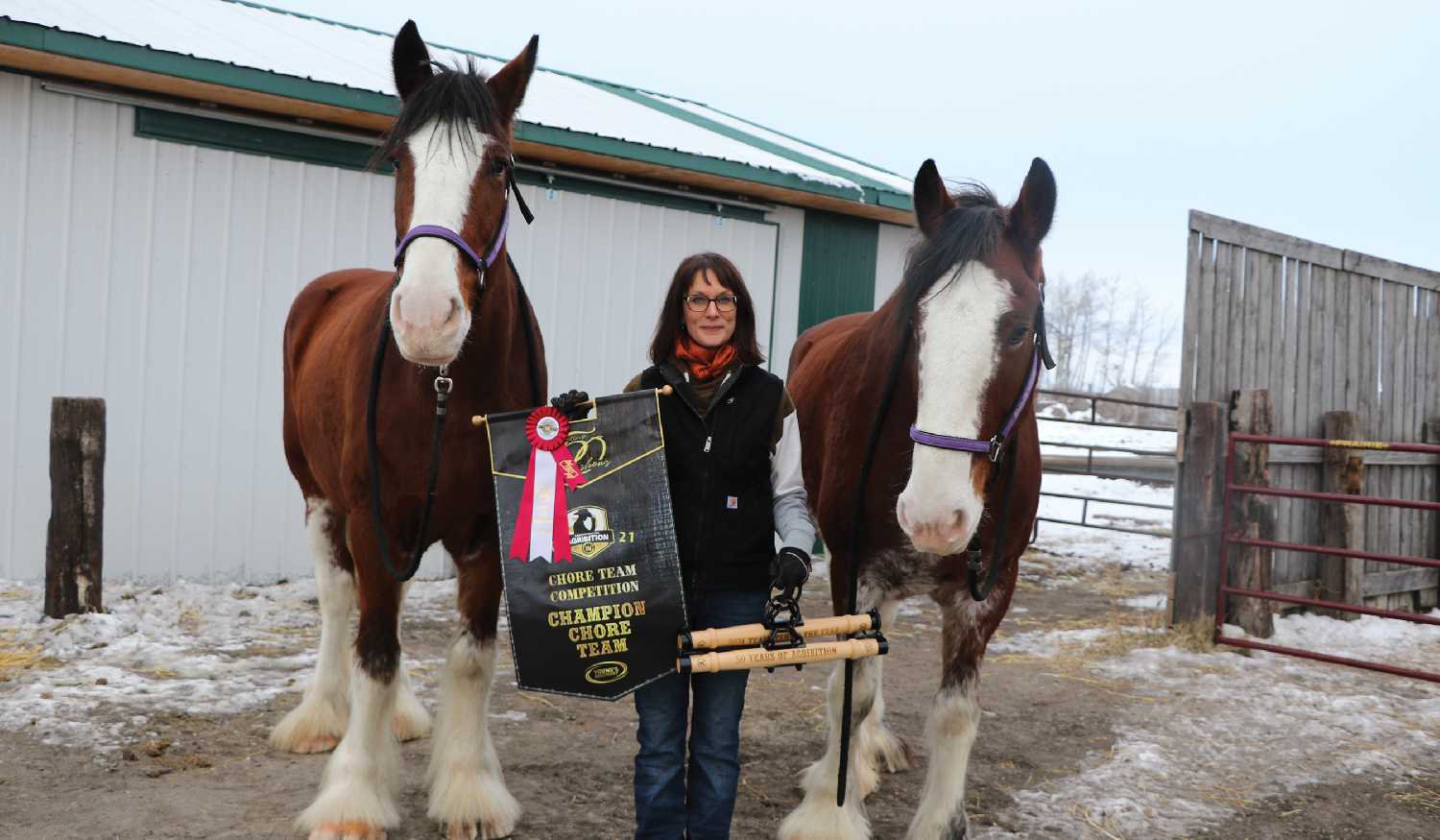 Michelle Newton took first place in the Chore Team Competition at Agribition this year. Its the first time the competition has been won by a woman, and the first time it has been won with a team of Clydesdales. Inset is her championship buckle.