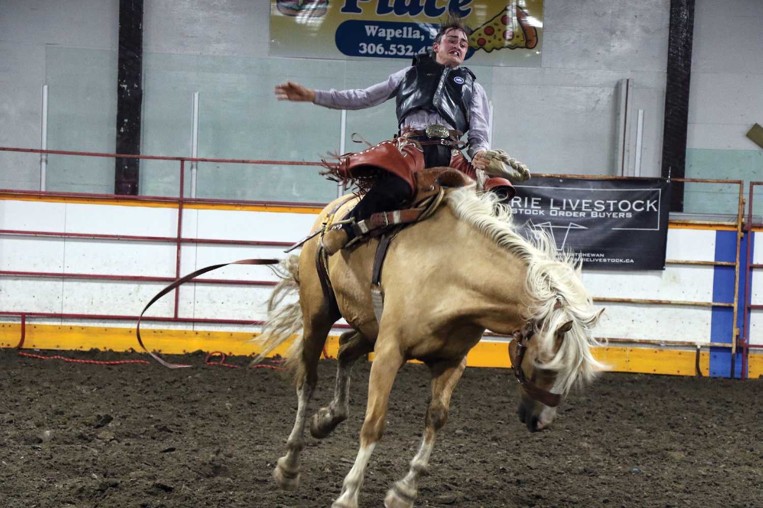 A bronc rider at last years Wapella Dodge City Days Rodeo.