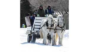 Winter Wonderland coming up on Family Day Monday